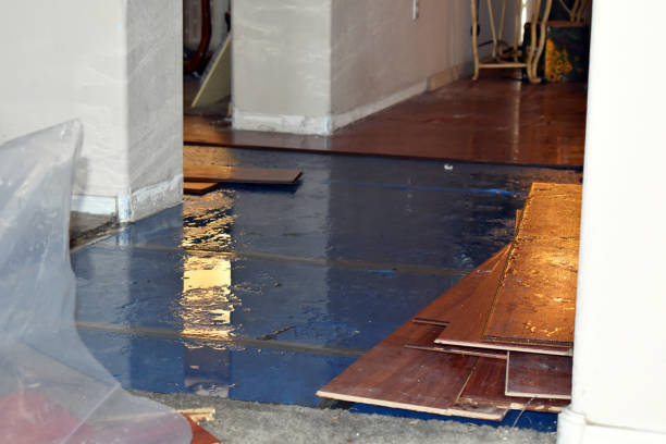 Professional Flood Damage Repair technician working in Asheville, NC